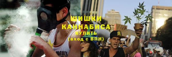 шишки Переславль-Залесский