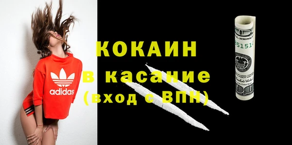 винт Пересвет