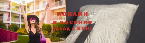 шишки Переславль-Залесский
