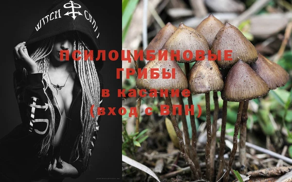 винт Пересвет