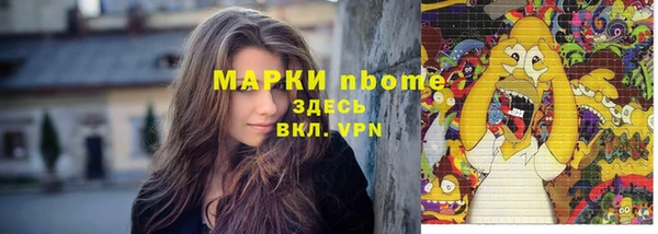 шишки Переславль-Залесский