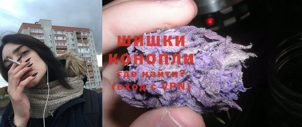 шишки Переславль-Залесский