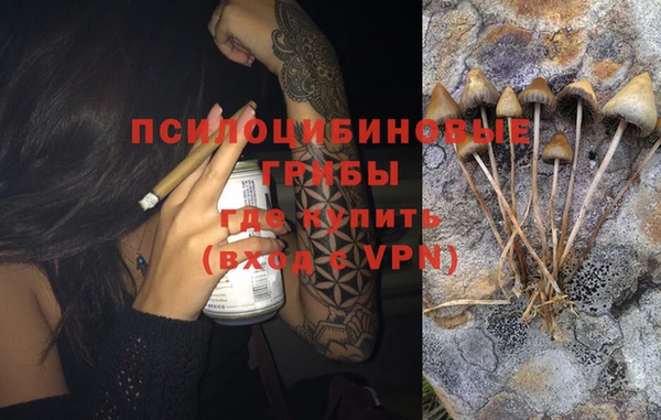 винт Пересвет