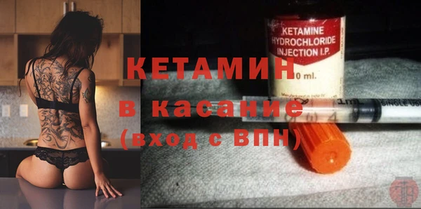 шишки Переславль-Залесский